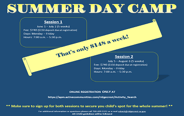 Day Camp Flier News Flash